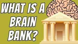 Tuesday’s Tip for Caregivers – What Is A Brain Bank